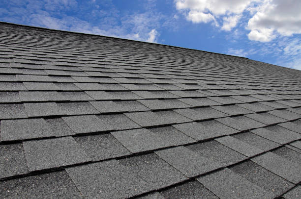 Best Chimney Flashing Repair  in Kaneohe, HI